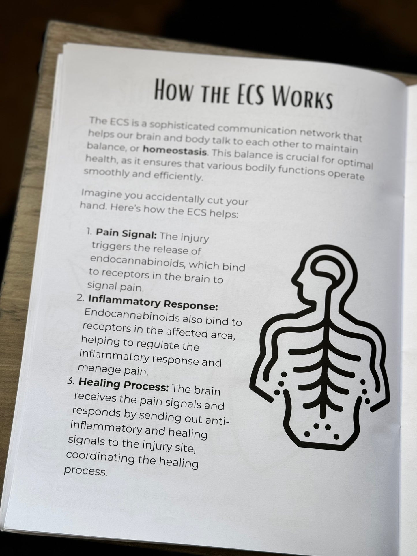 Green Pathways - An ECS Educational Workbook for Stoners