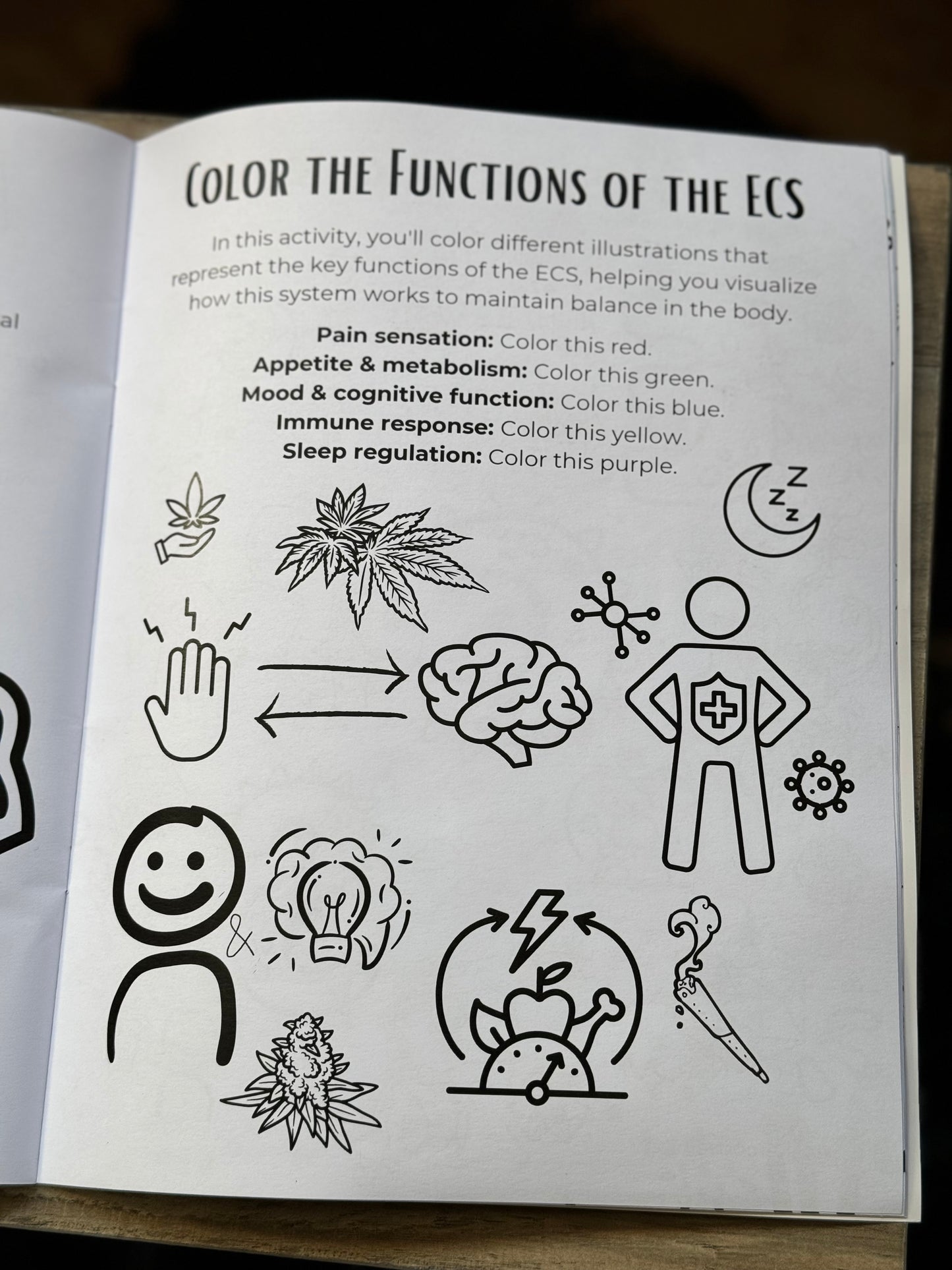 Green Pathways - An ECS Educational Workbook for Stoners