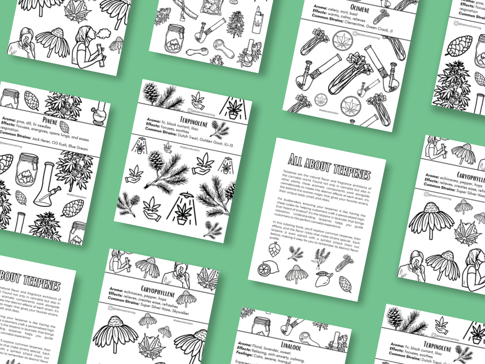 Educational Coloring Downloads | Activity Sheets For Stoners