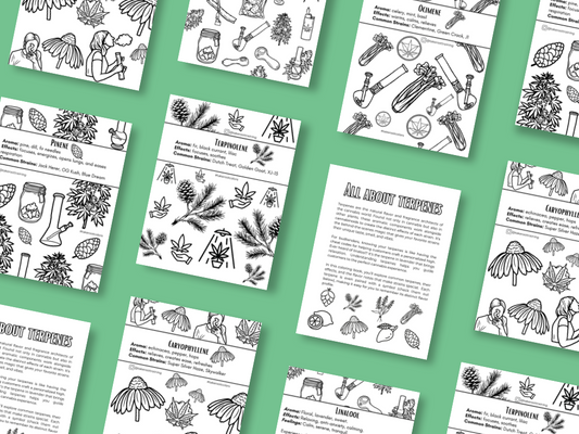 Educational Coloring Downloads | Activity Sheets For Stoners